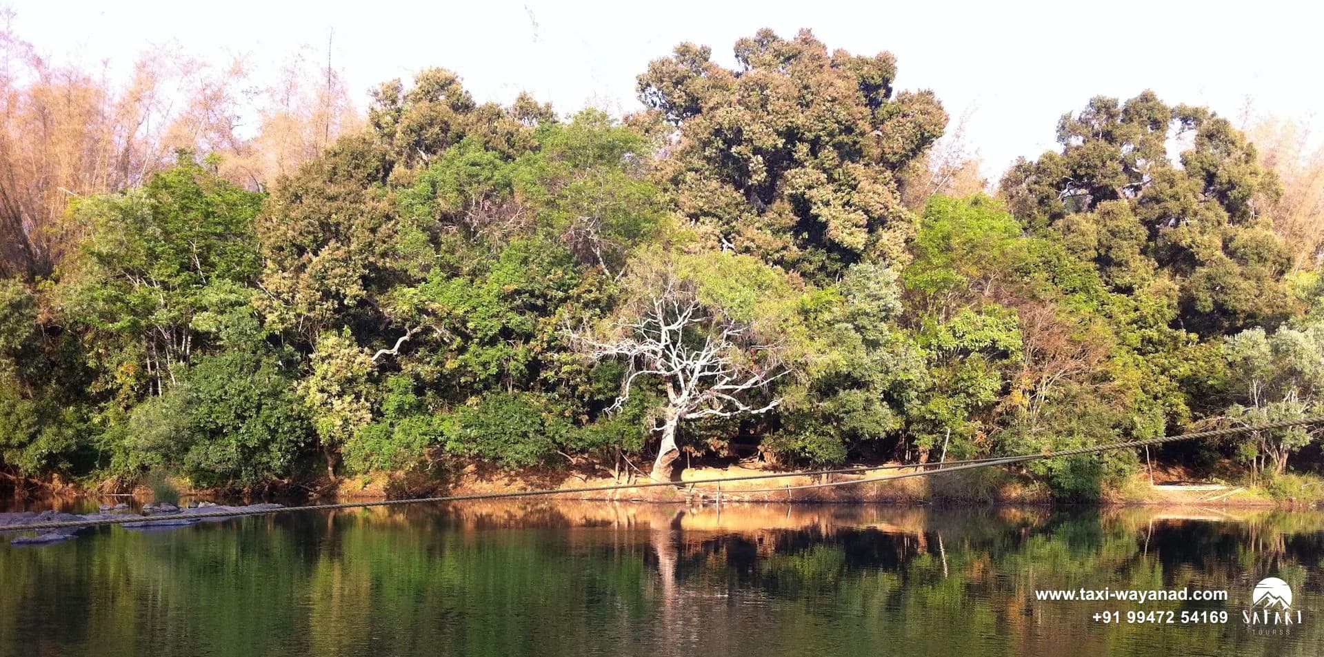 Forested banks of Kuruva Island reflected in the still Kabini River, Wayanad