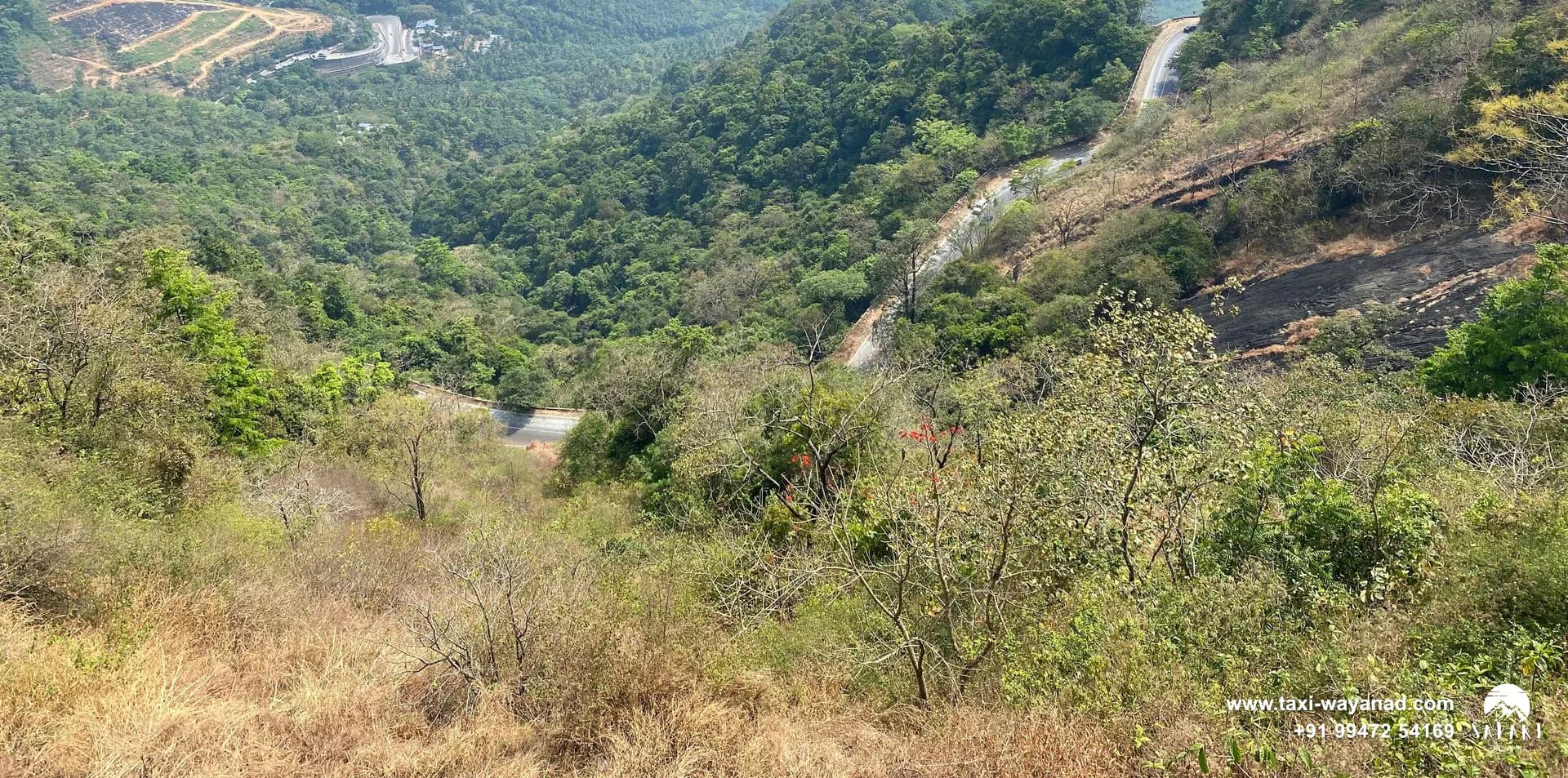 Forested valley and the winding ghat road seen from Lakkidi View Point, Wayanad